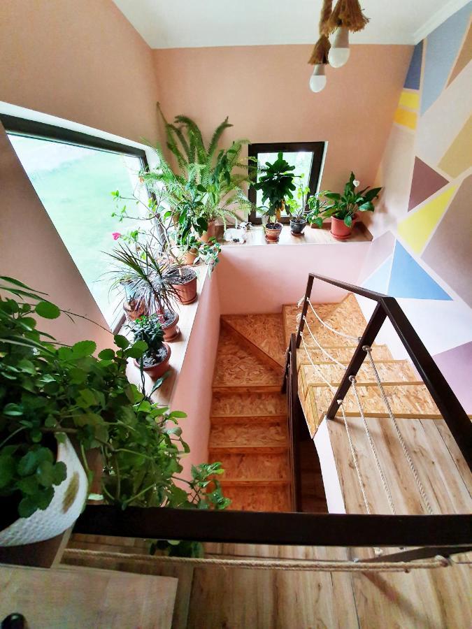 ---Allegria House--- Kazbegi Exteriör bild