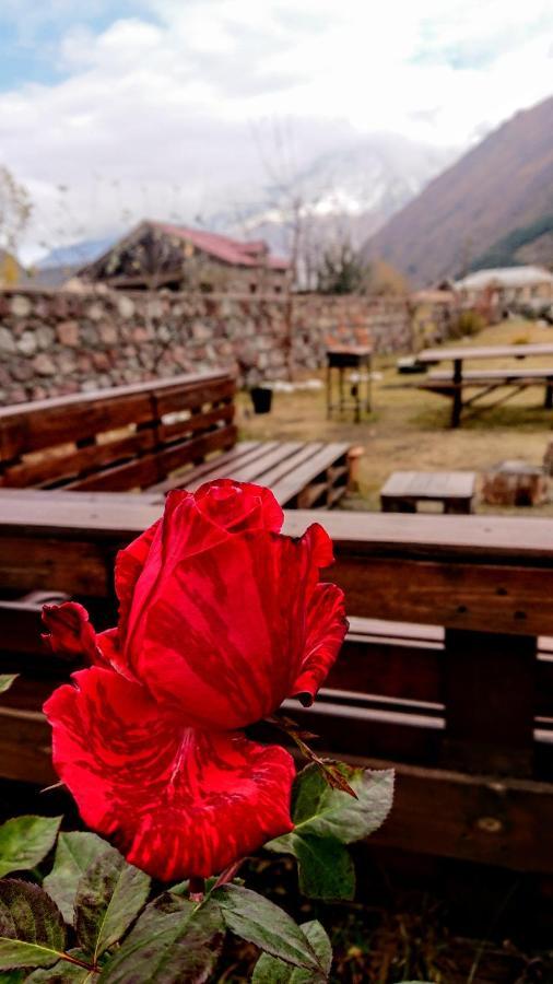 ---Allegria House--- Kazbegi Exteriör bild