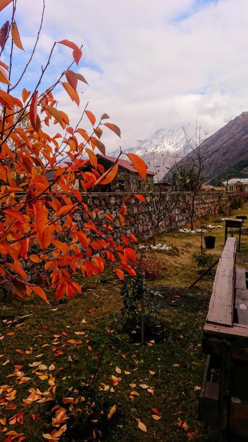 ---Allegria House--- Kazbegi Exteriör bild
