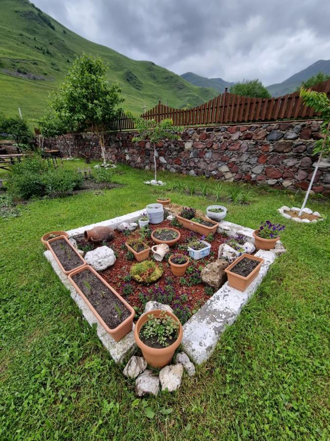 ---Allegria House--- Kazbegi Exteriör bild