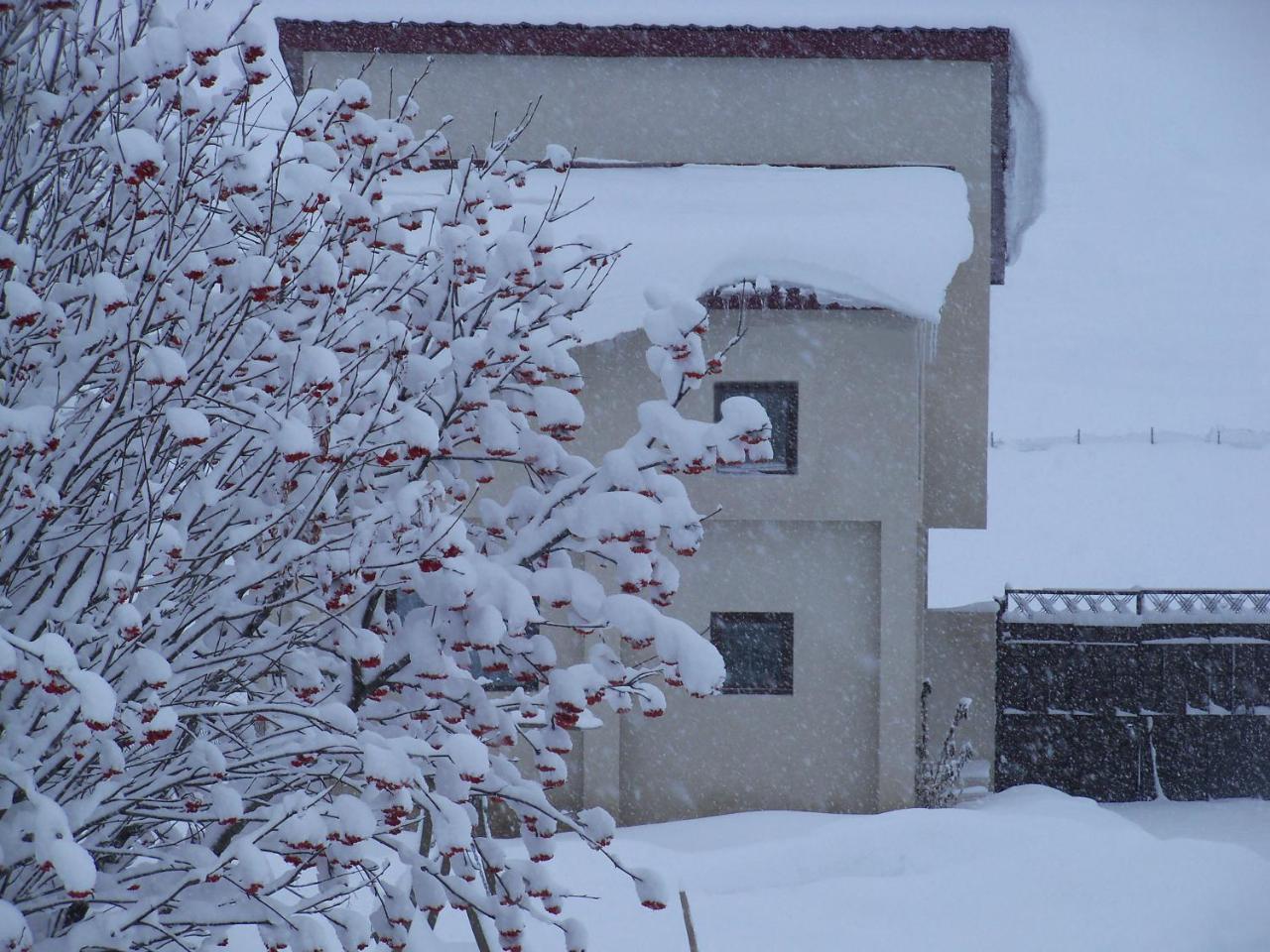 ---Allegria House--- Kazbegi Exteriör bild