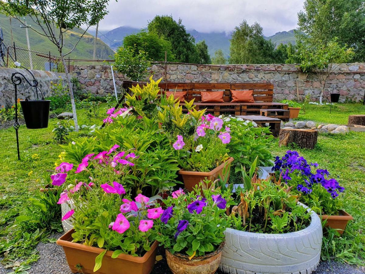---Allegria House--- Kazbegi Exteriör bild